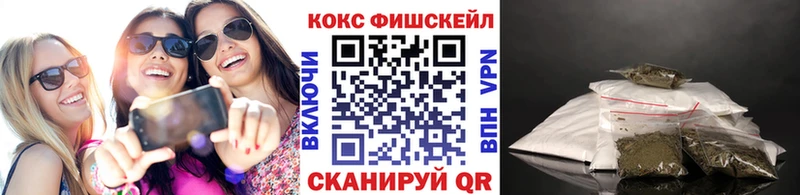 Купить закладки  Каменск-Уральский  Cocaine FishScale 