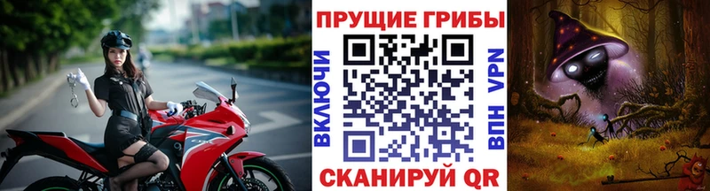 Купить закладки  Каменск-Уральский  Галлюциногенные грибы Psilocybine cubensis 